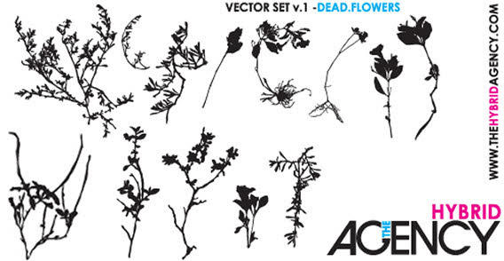 Free Vector Dead Flowers