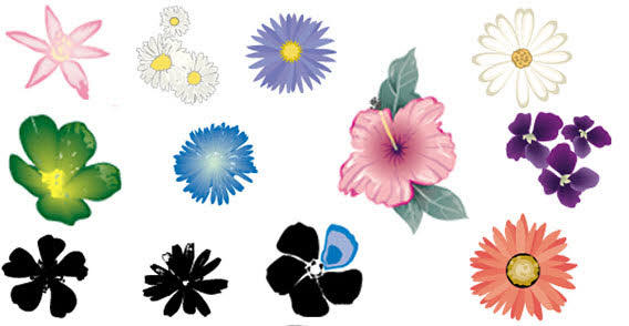 Free Illustrator Flower Vector