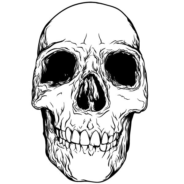 Skull Image