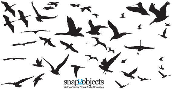 Flying Birds Silhouettes