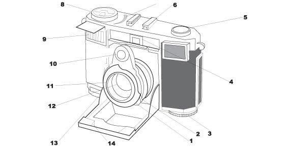 Old Contessa Camera Vector