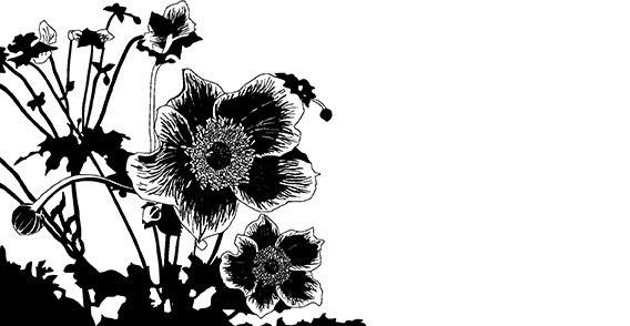 Free Vector Flowers Silhouettes