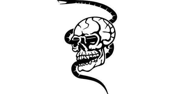Skull and Snake Vector