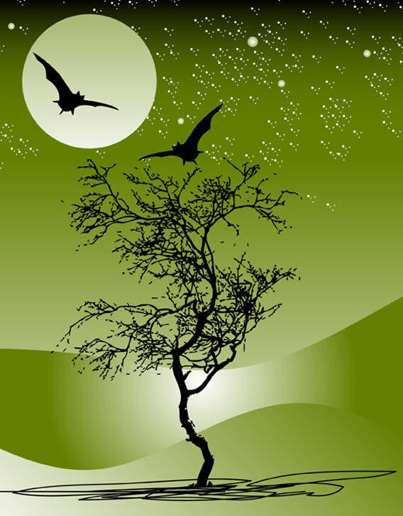 Nature Night Scene Free Vector