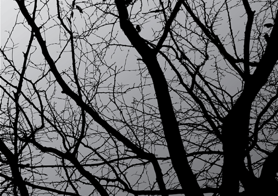 Dark Tree Vector