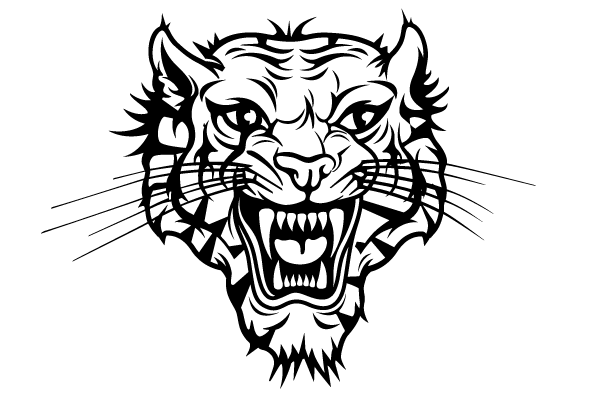 Tiger Head Vector Illustration