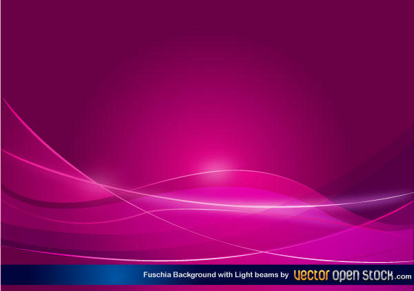 Fuchsia Background Vector