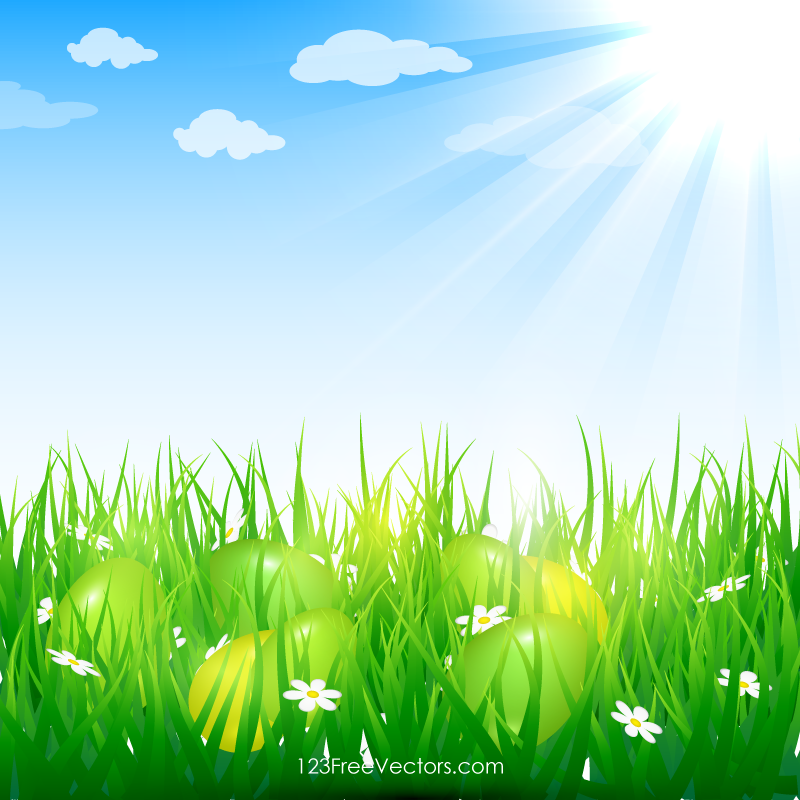 Easter Eggs in Grass Image