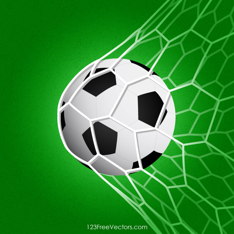 Soccer Ball in Net