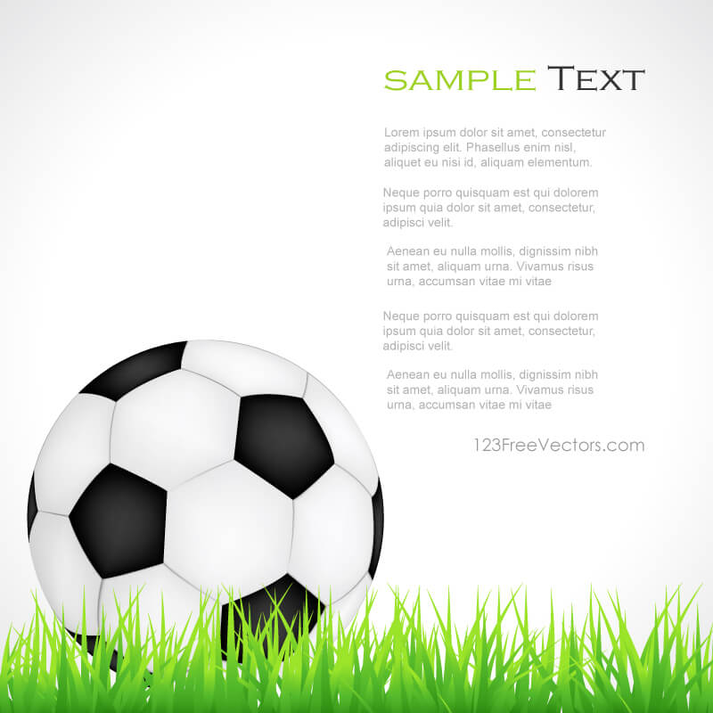 Soccer Ball on Green Grass Clipart