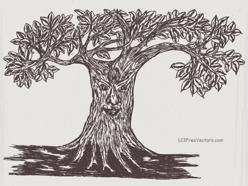 Tree Face Drawing Vector Image