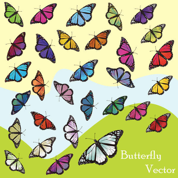 Butterfly Vector Art