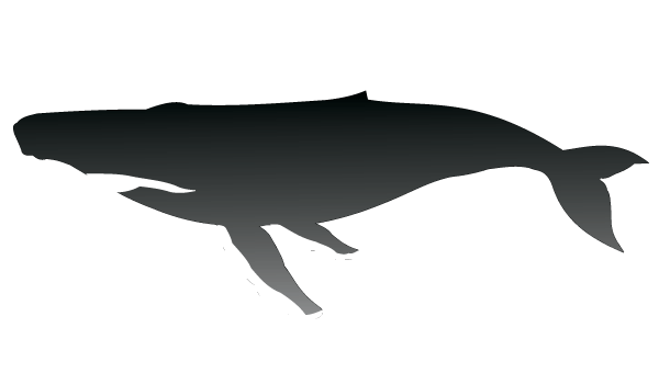 Diving into the Imaginative World of silhouette Vector Designs