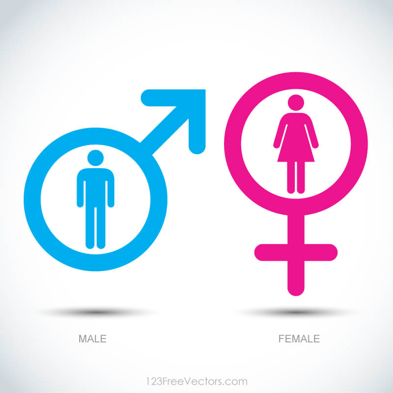 Male and Female Icons Illustration