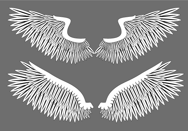 Free Wings Vector Graphics