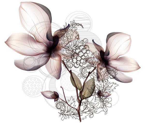 Free Orchid Flower Vector Art