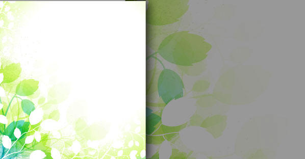 Free Vector Spring Background