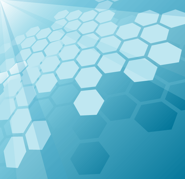 Modern Hexagon Background Vector Image