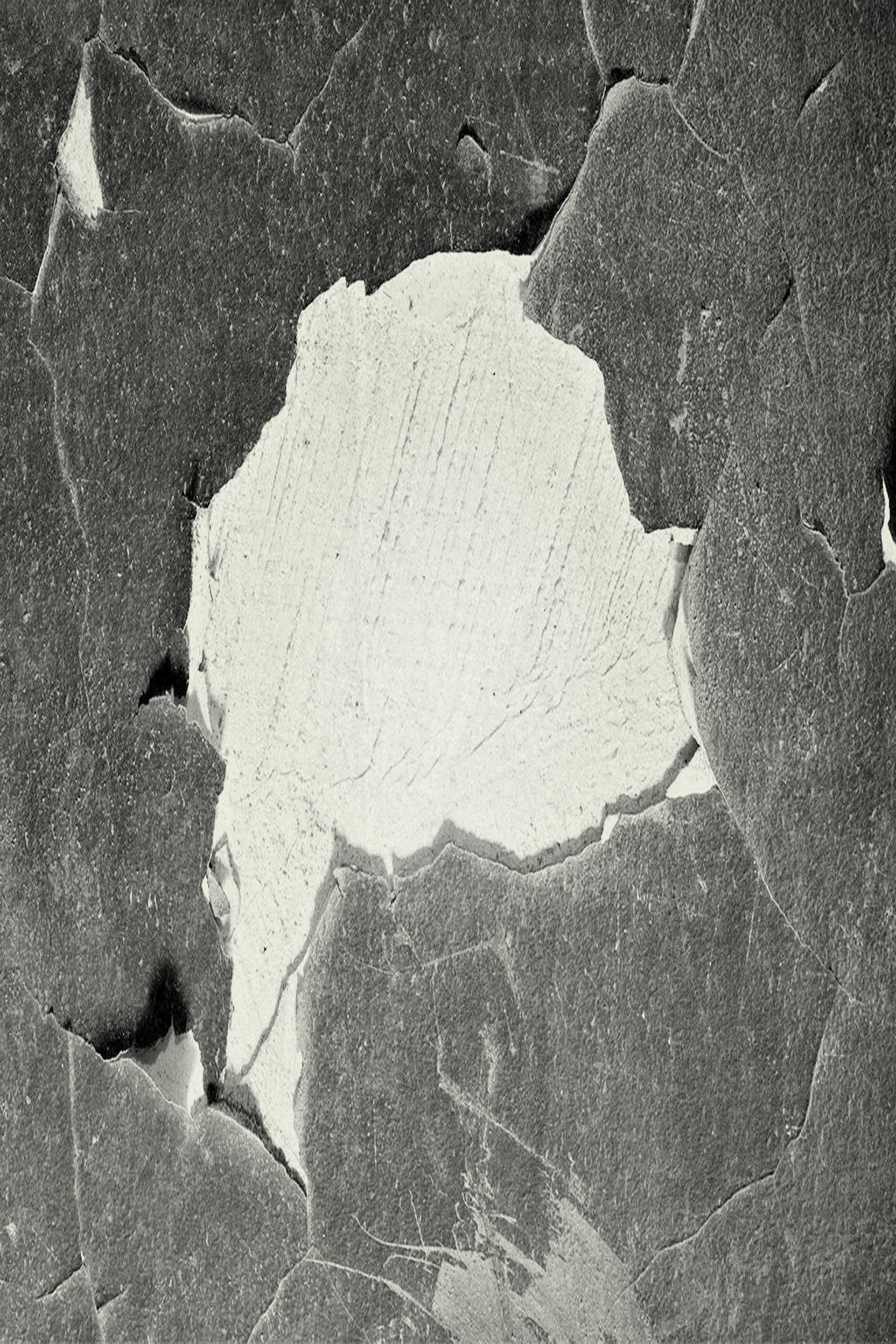 Cracked Texture