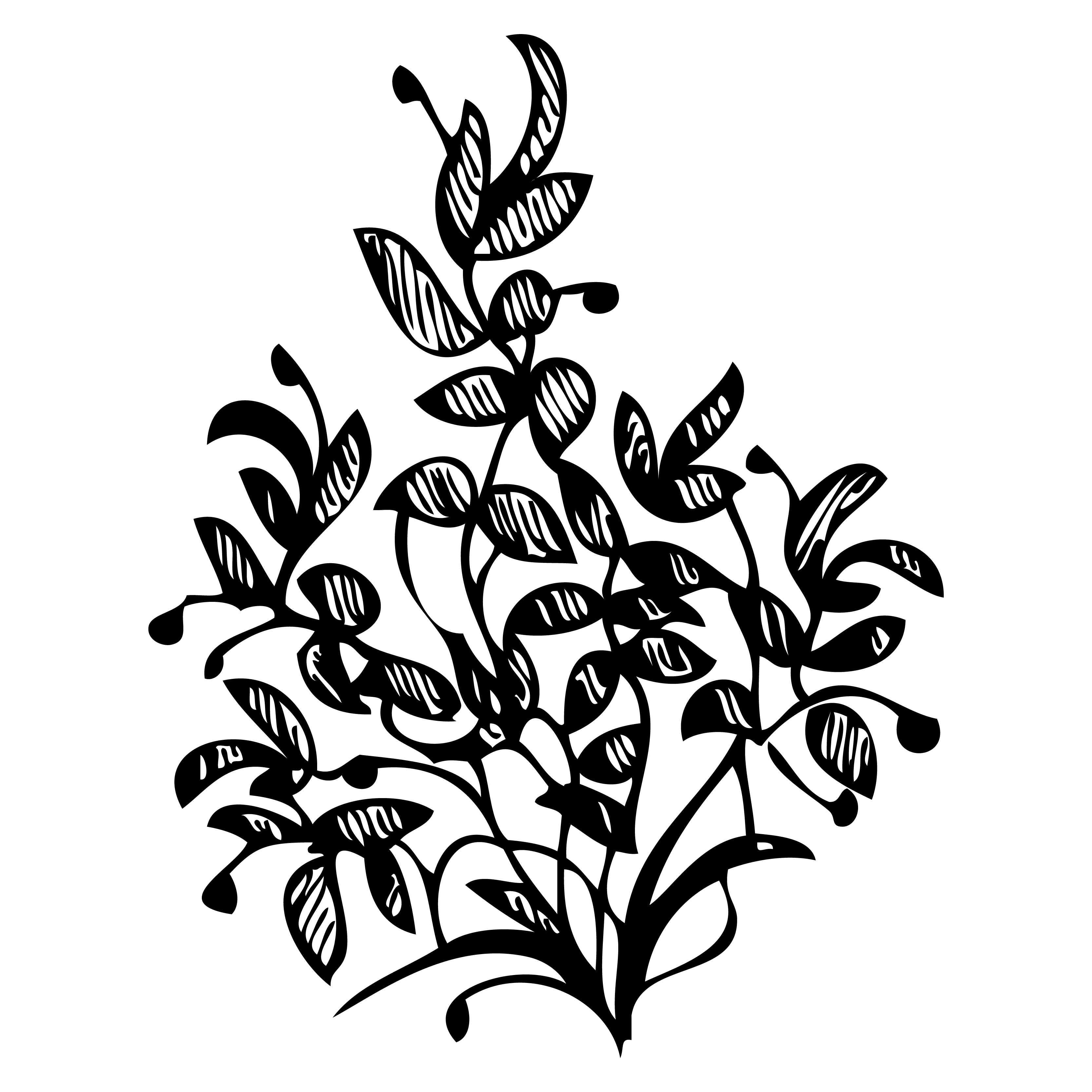 Black and White Botanical Illustration