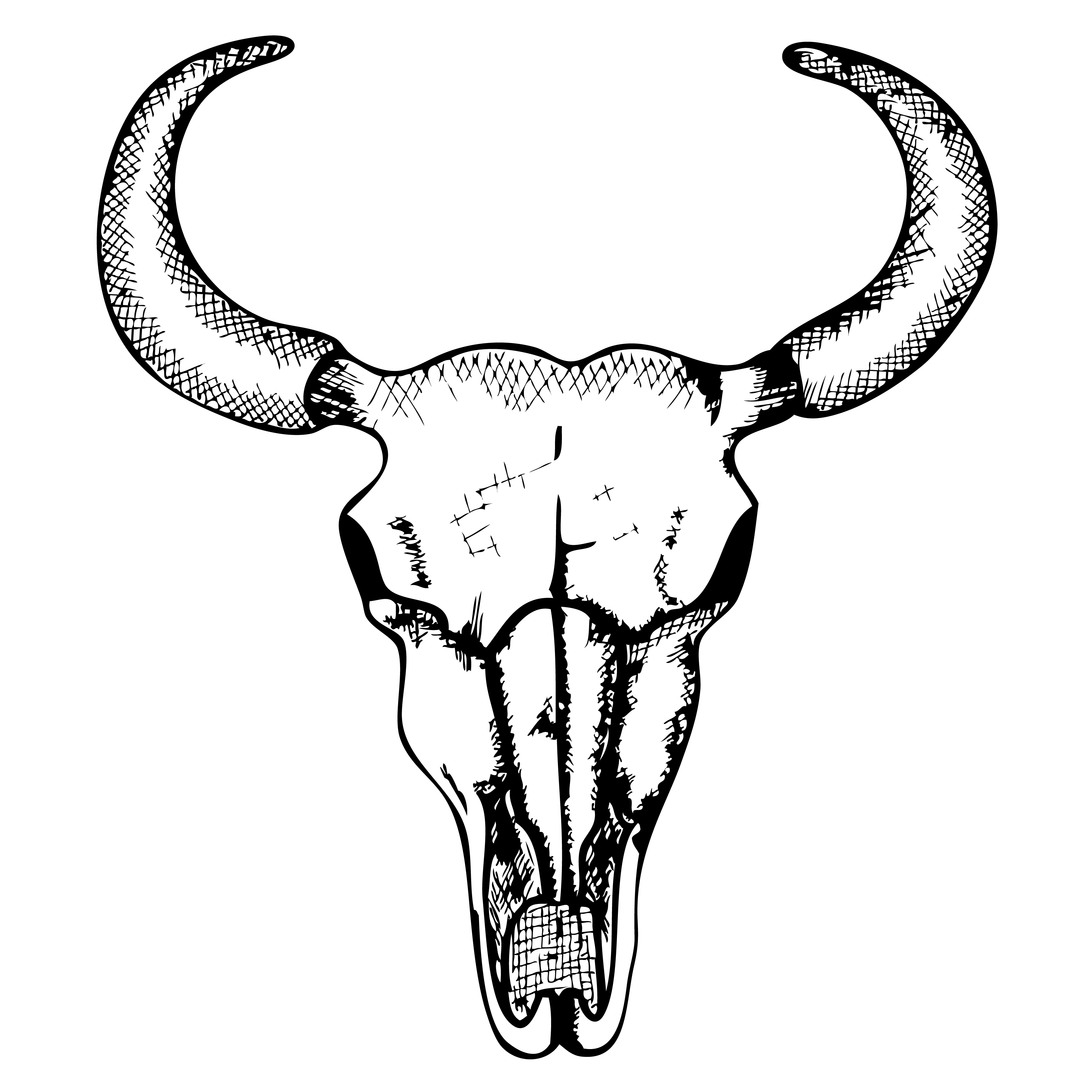 Free Hand Drawn Animal Skull Vector Image