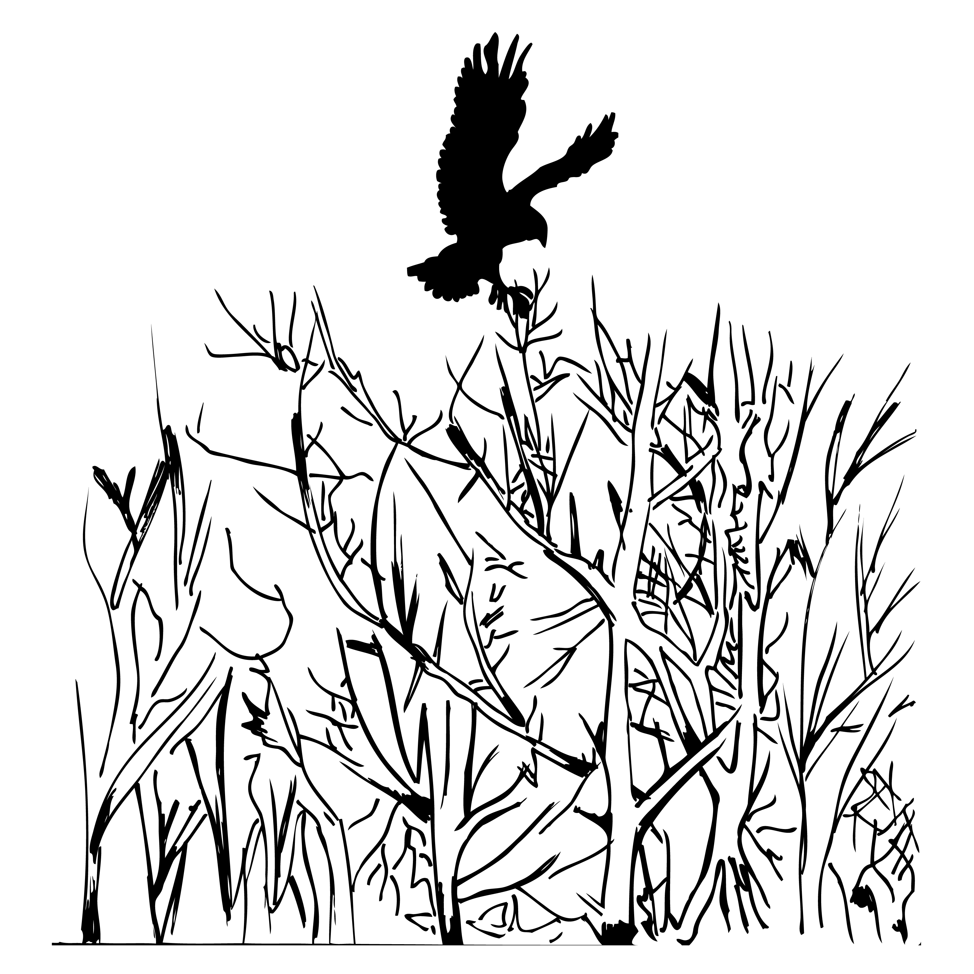 Eagle in the Forest