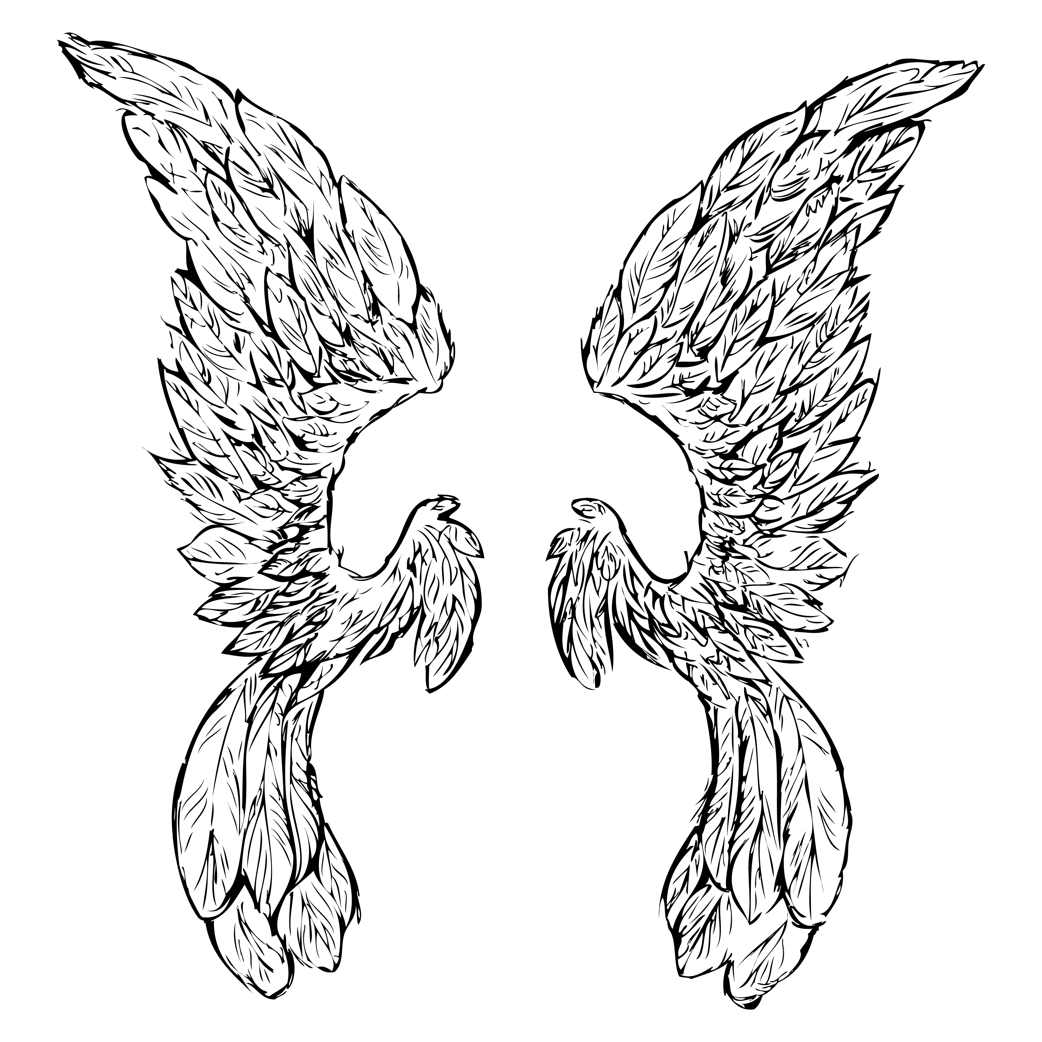 Hand Drawn Wings Image