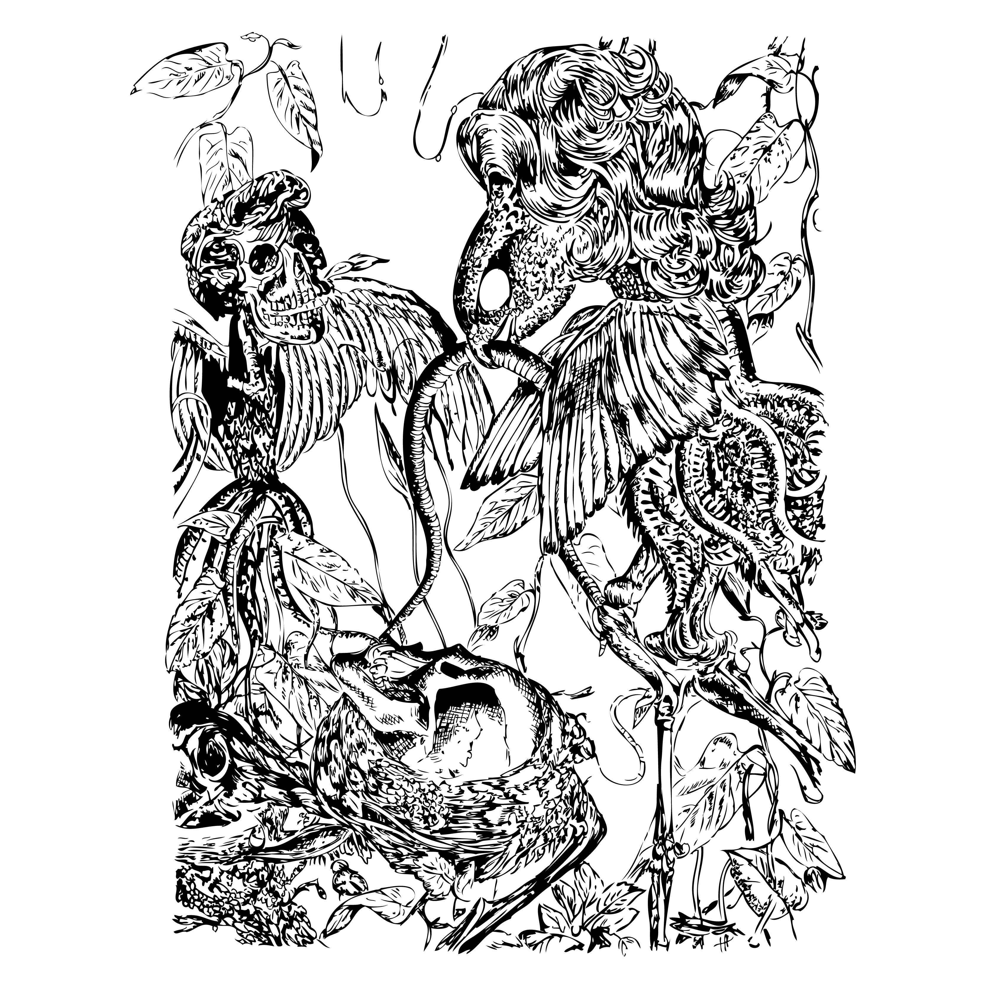 Skull and Creature Illustration