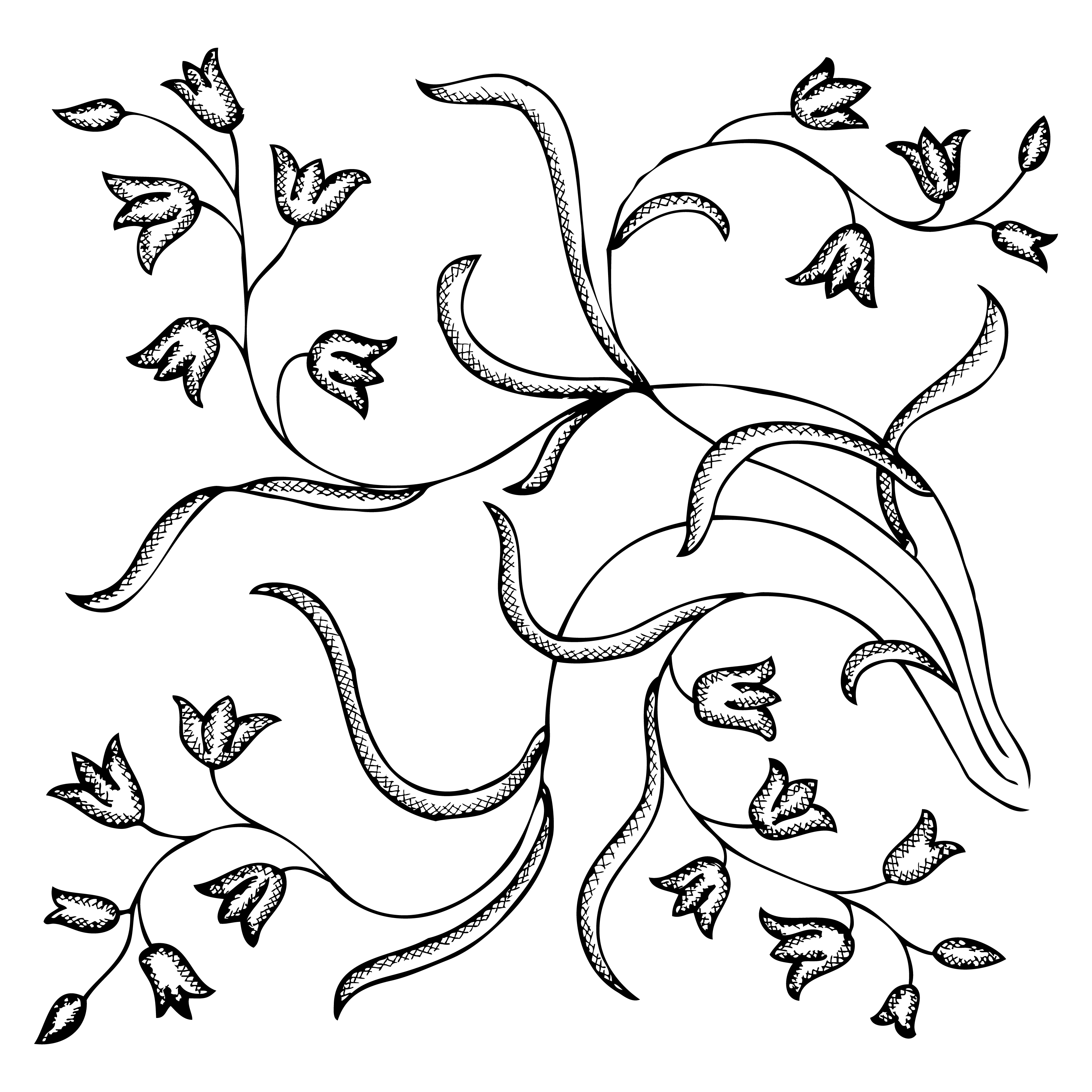 Floral Vines Illustration
