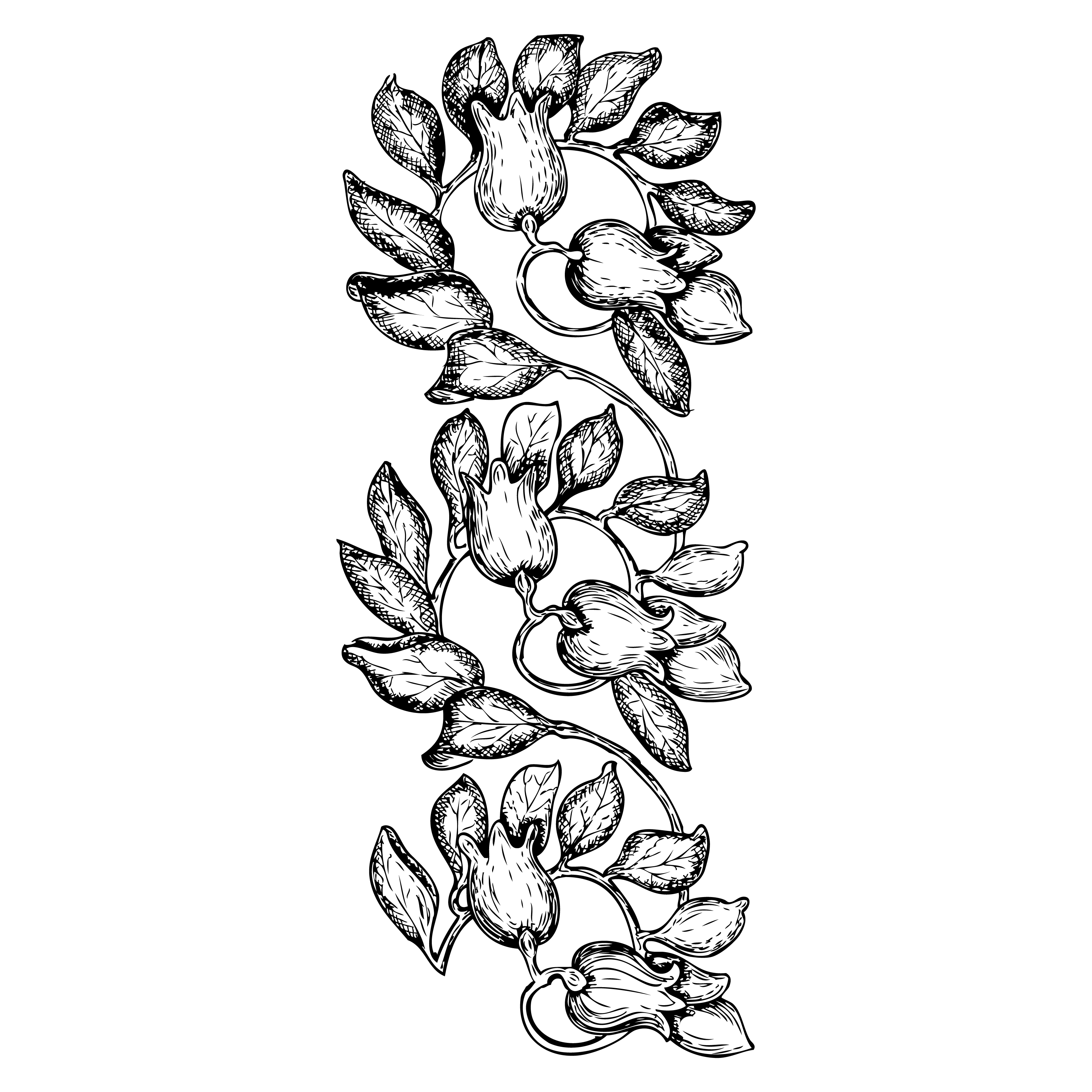 Floral Vine Illustration