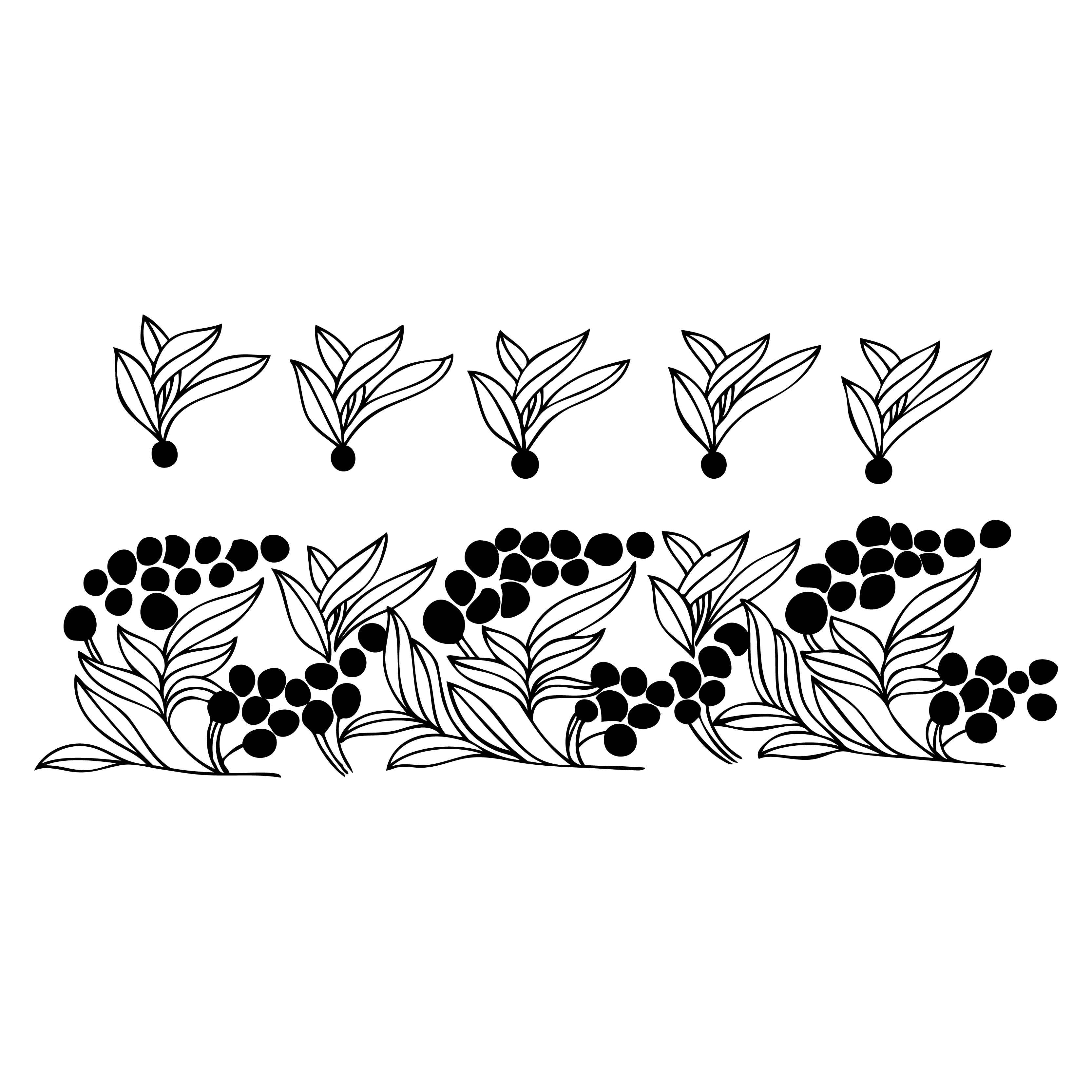 Floral Border Design