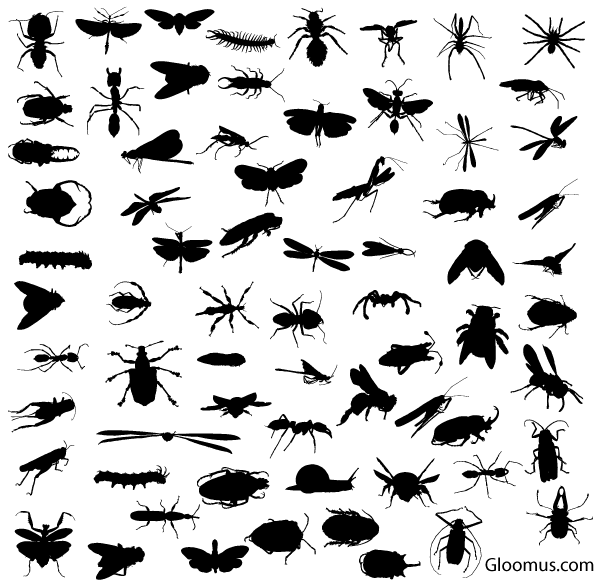 Insect Silhouettes Vector Graphics Free Download