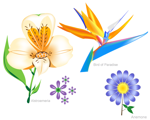 Flowers Free Vector Set