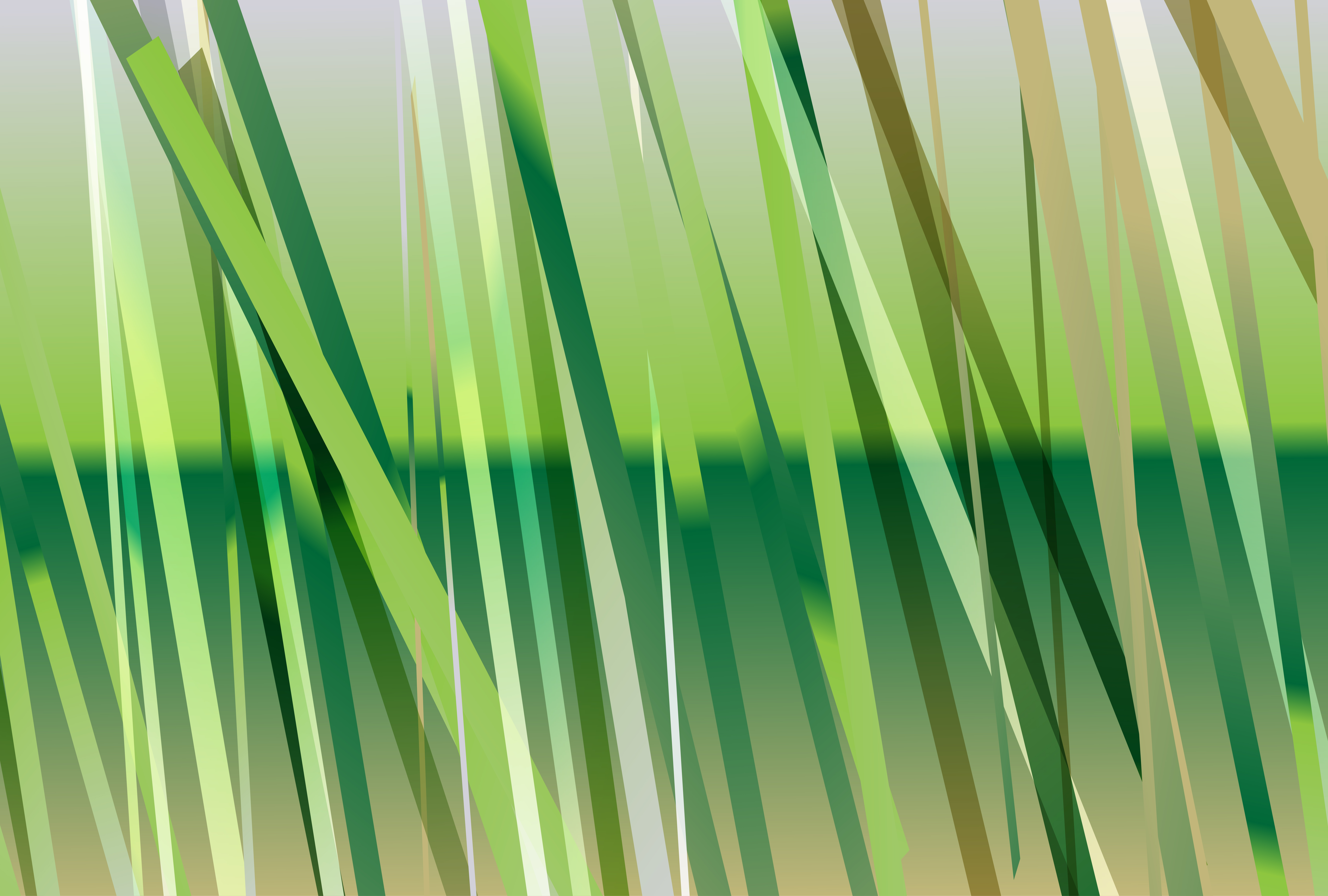 Grassy Abstract