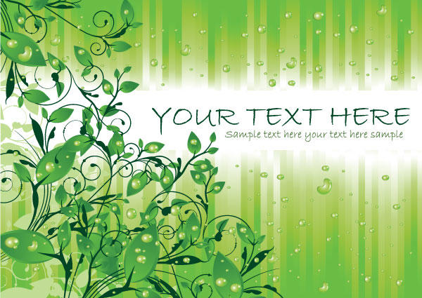 Green Leaves with Water Drops Vector Graphics