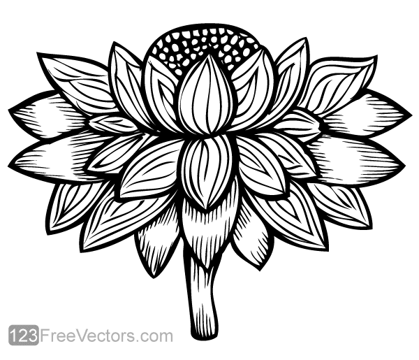 Vector Flower Image