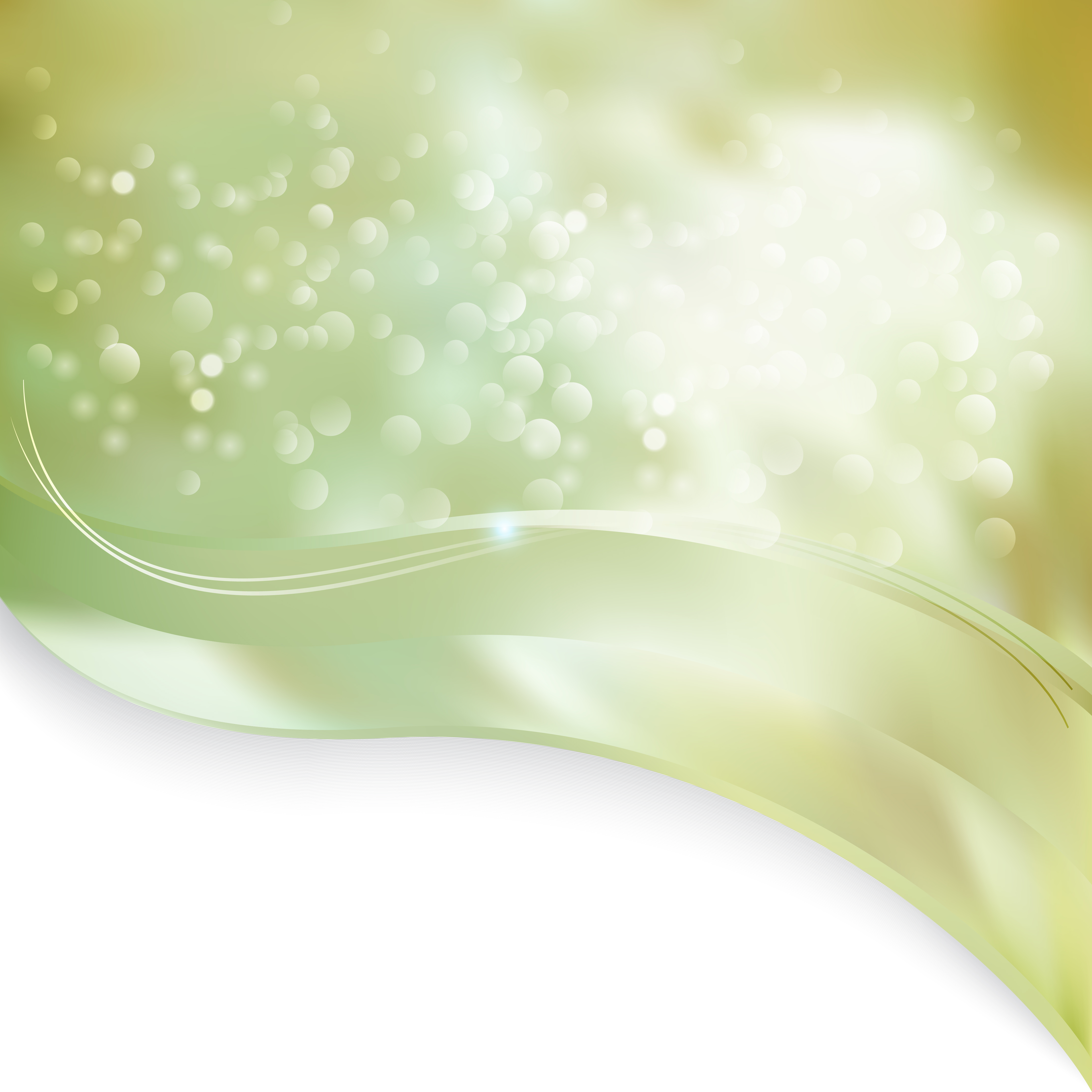 Abstract Light Color Wave Border Business Background