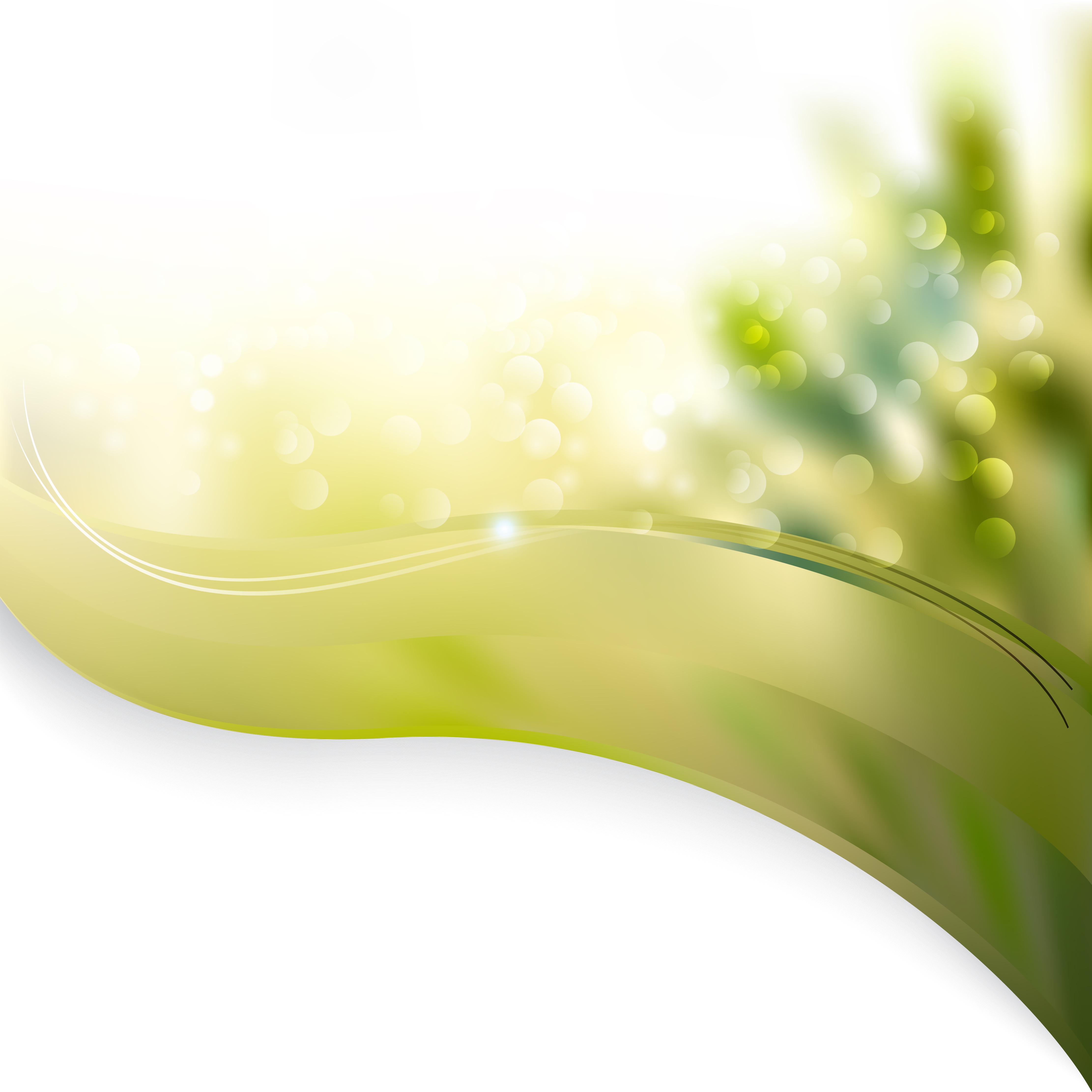 Abstract Green and White Wave Border Folder Background Vector Graphic