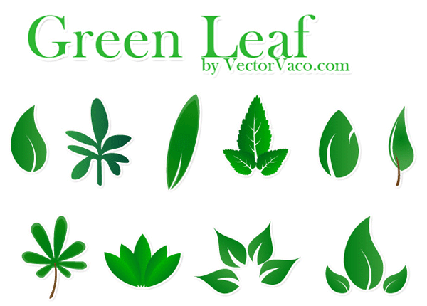 Free Vector Green Leaf