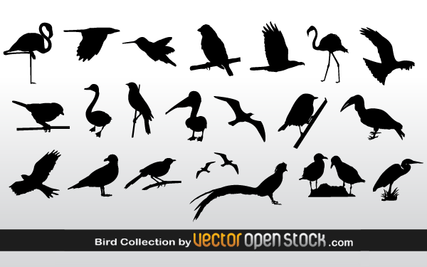 Free Vector Bird Silhouettes Collection