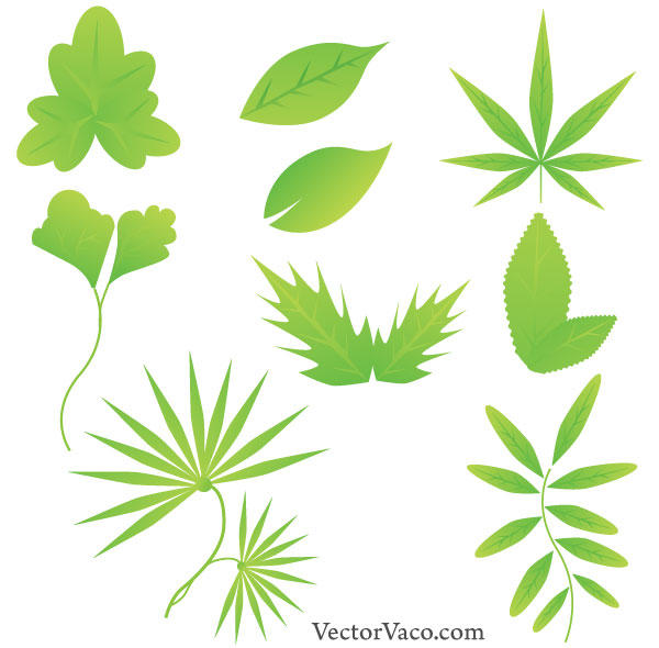 Diverse leaves Vectors & Illustrations for Free Download