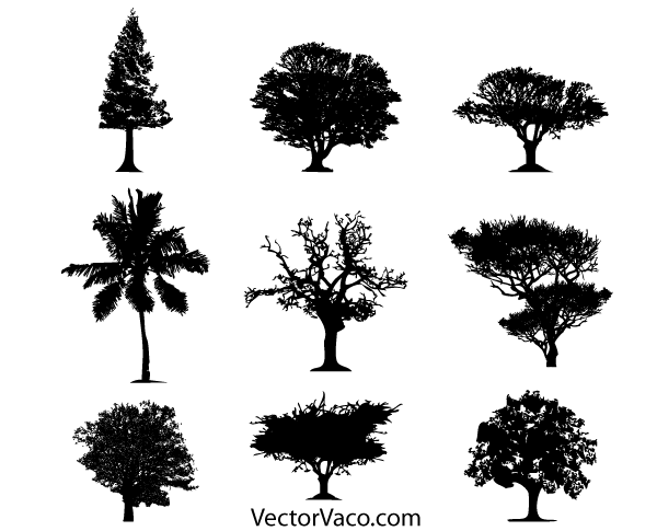 25 Best Tree Silhouette Images set (Free and Premium)