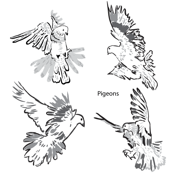 Artistic Pigeons Vector Pack