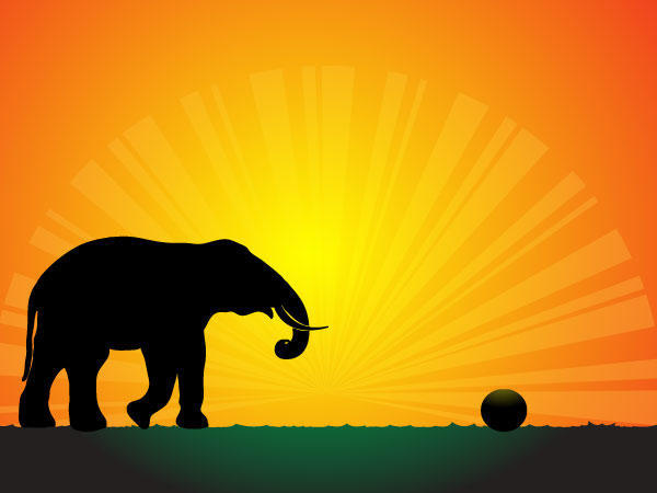Silhouette Elephant in the Sunset Vector Wallpaper