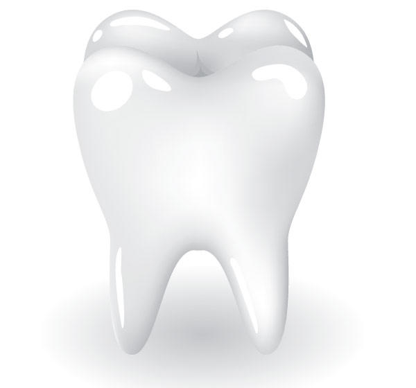 Free Tooth Vector Illustration