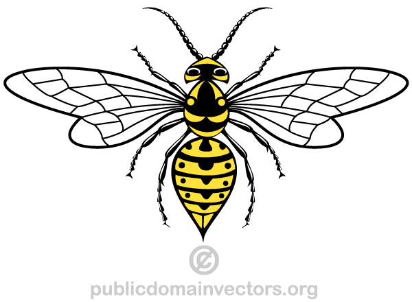 Wasp Vector Image