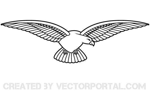 Eagle Vector Image