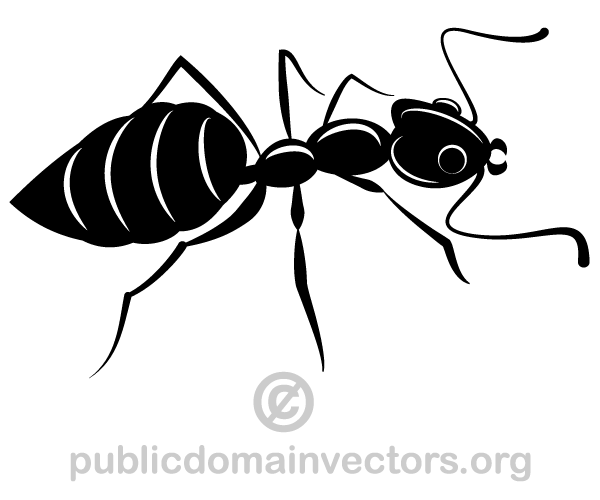 Ants Silhouette Vector