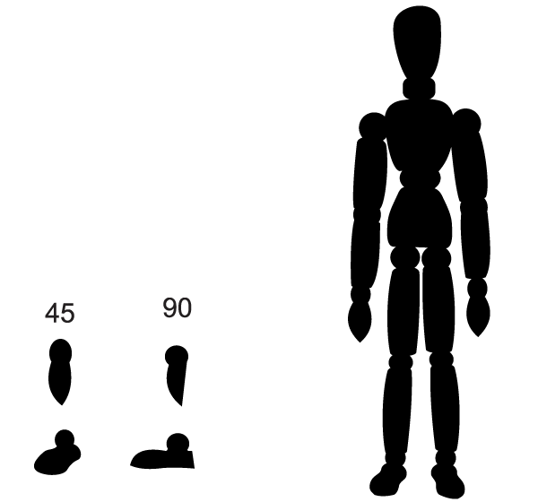 Artist’s Model figure Vector