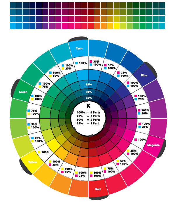 Free Color wheel Vector